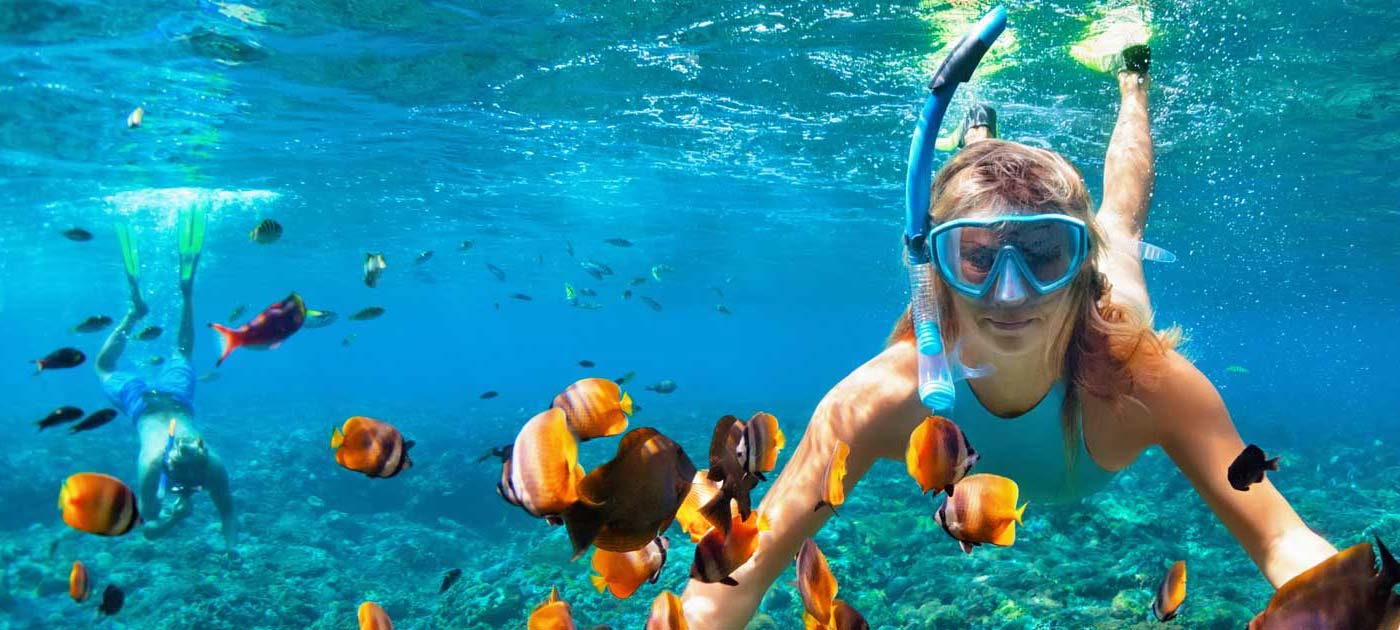Selection of snorkelling and dive gear on display
