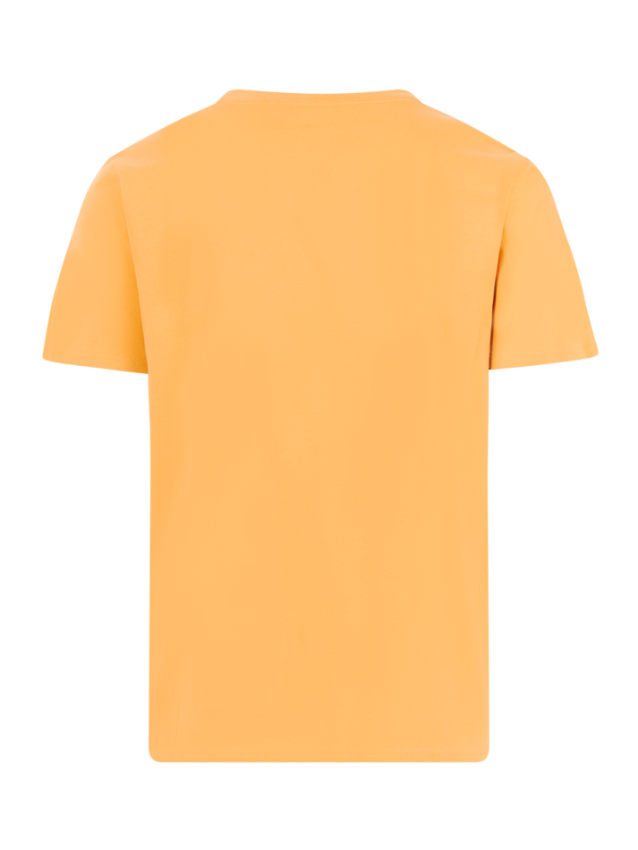 Protest Hanwell T-Shirt