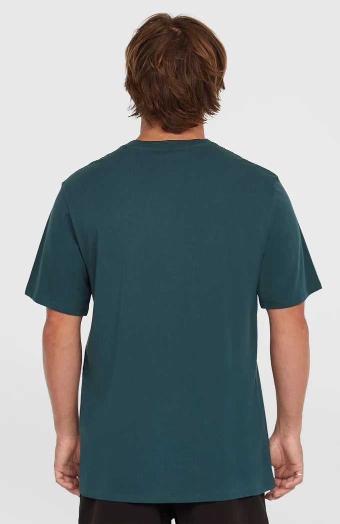O’Neill Logo T-Shirt Alma Steel