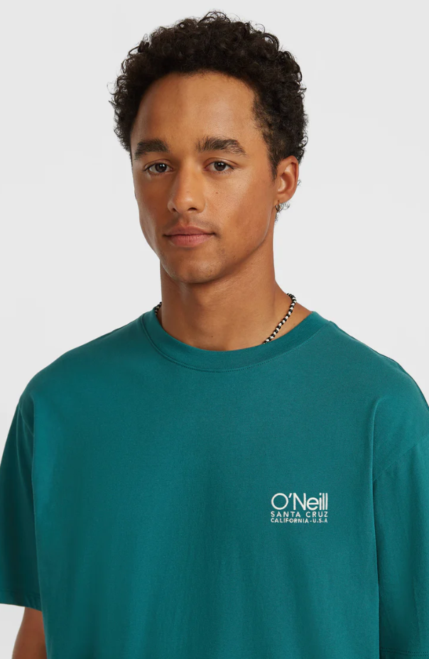 O’Neill O’Riginals Cali T-Shirt - Botanical Heat