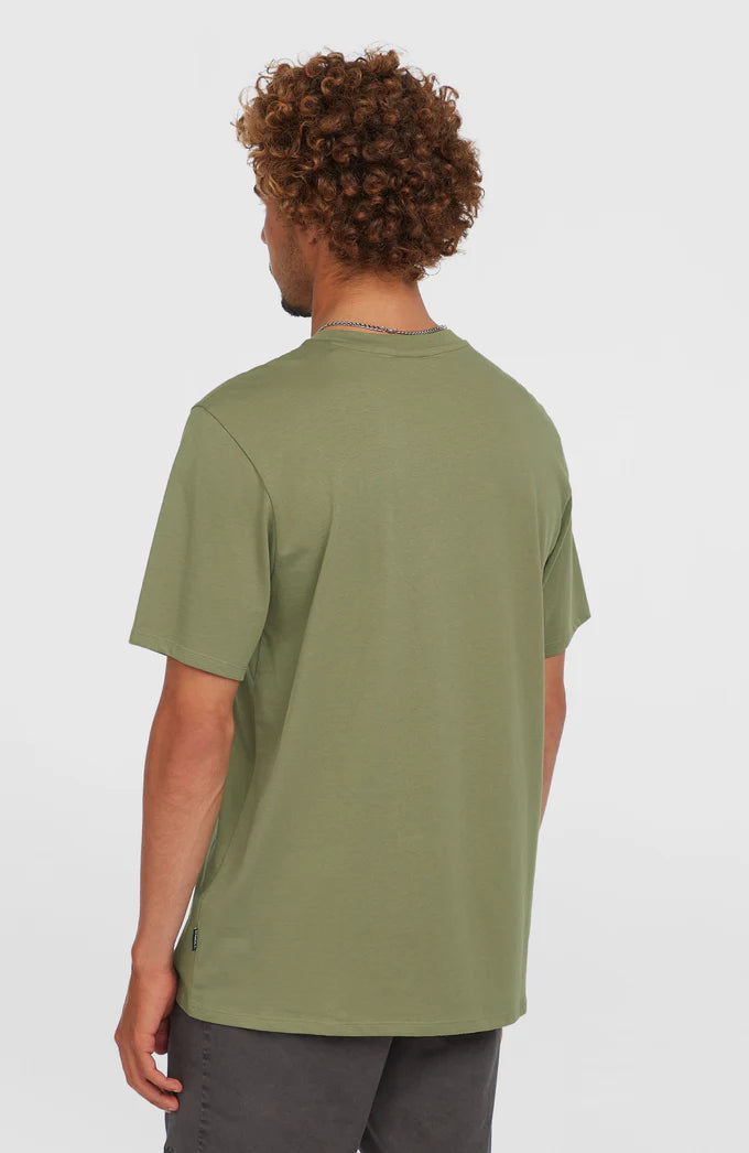 O’Neill O’riginals Cali Logo T-Shirt Avery Fern