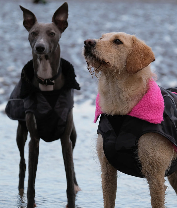 Dryrobe Dog/Pet Jacket - Black Camouflage/Pink