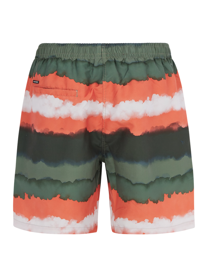 Protest PRTHAMSEY Men's Swim Shorts - Artichoke Green