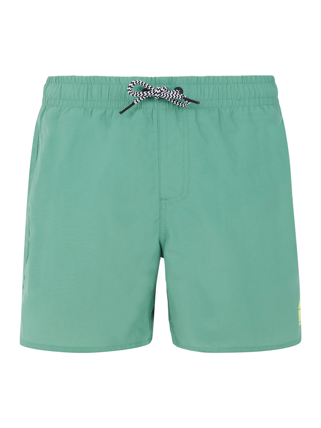 Protest CULTURE JR Boy's Beach Short - Frosty Green