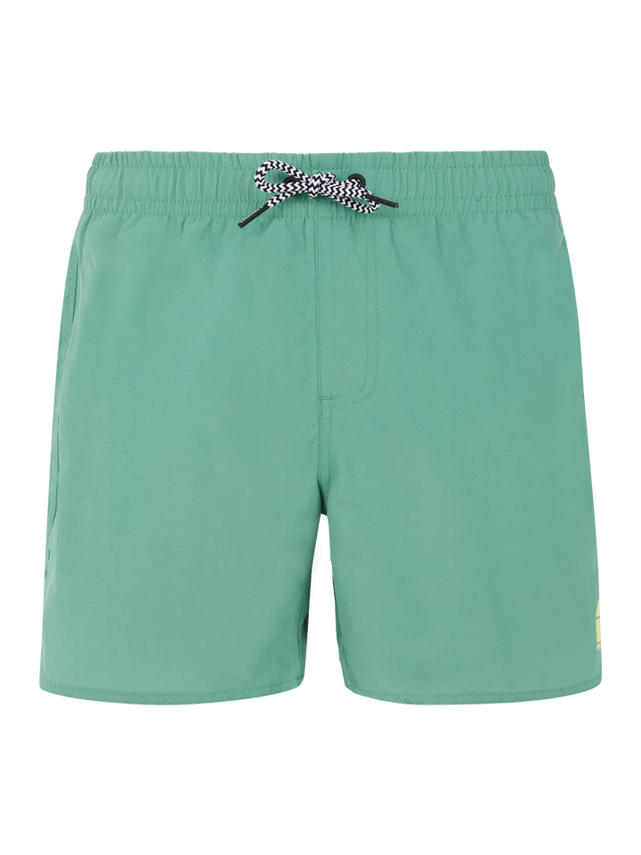 Protest CULTURE JR Boy's Beach Short - Frosty Green