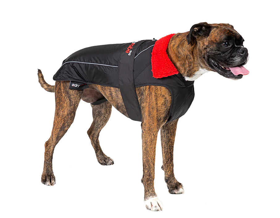 Dryrobe Dog/ Pet Jacket - Black/ Red